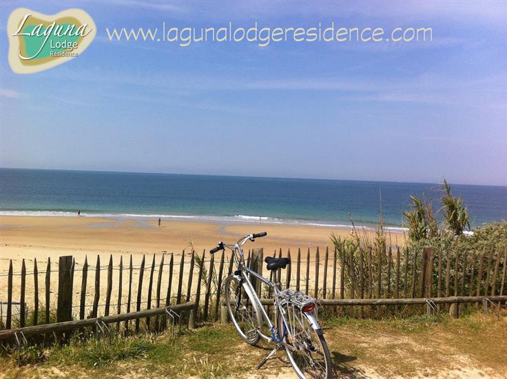La plage à vélo près de Laguna Lodge Résidence - Charente-Maritime