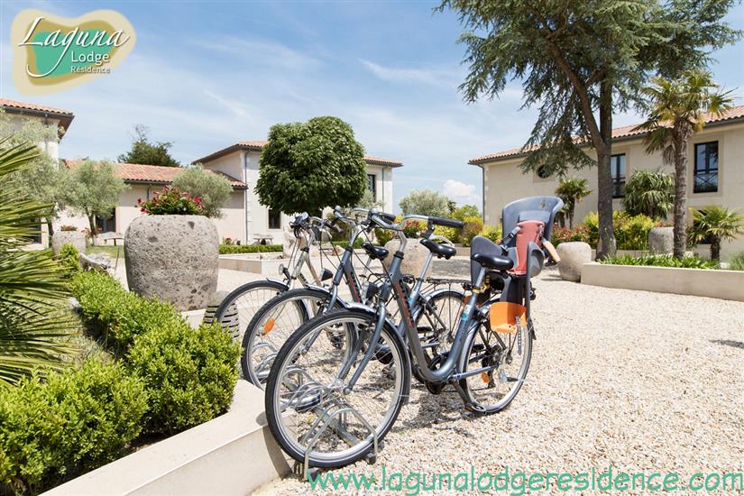 Vélos à disposition au Laguna Lodge près de l'Île d'Oléron