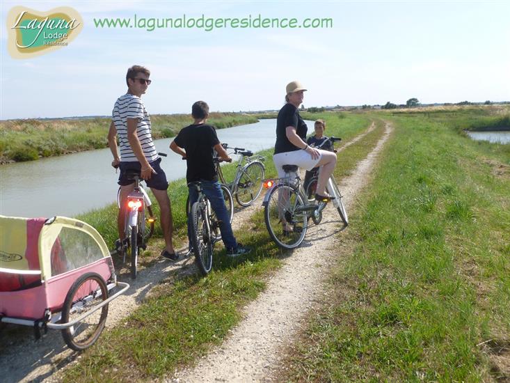 Balade à vélo La Route Touristique des Huîtres proche de Laguna Lodge Résidence en Charente-Maritime sur la Côte Atlantique