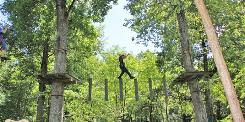Accrobranche Parc Aventure La Gataudière proche de Laguna Lodge Résidence en Charente-Maritime (17) sur la Côte Atlantique