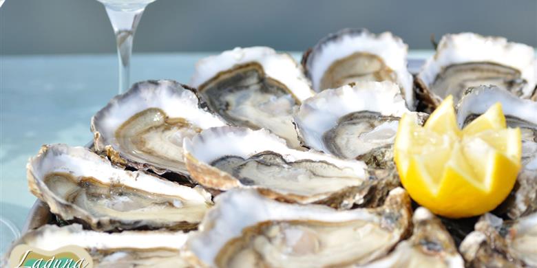 Huîtres sur la route touristique des huîtres proche de Laguna Lodge Résidence en Charente-Maritime sur la Côte Atlantique