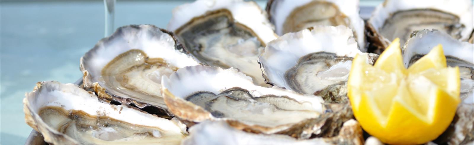 Huîtres sur la route touristique des huîtres proche de Laguna Lodge Résidence en Charente-Maritime sur la Côte Atlantique