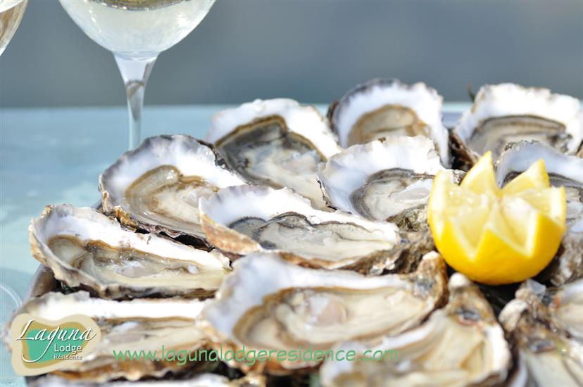 Huîtres sur la route touristique des huîtres proche de Laguna Lodge Résidence en Charente-Maritime sur la Côte Atlantique