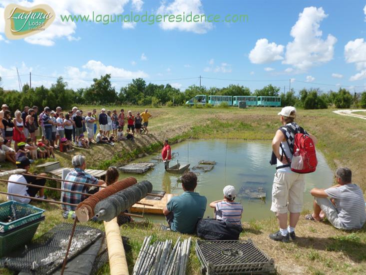 Visite guidée Cité de l'Huître à Marennes proche de Laguna Lodge Résidence sur la Côte Atlantique en Charente-Maritime (17)