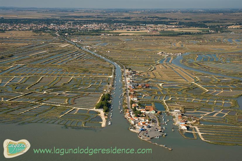 Vue Aerienne Cité de l'Huître à Marennes proche de Laguna Lodge Résidence sur la Côte Atlantique en Charente-Maritime (17)
