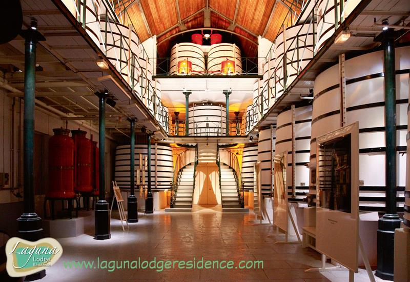 Cellier Maison Remy Martin proche de Laguna Lodge Résidence en Charente-Maritime (17) sur la Côte Atlantique