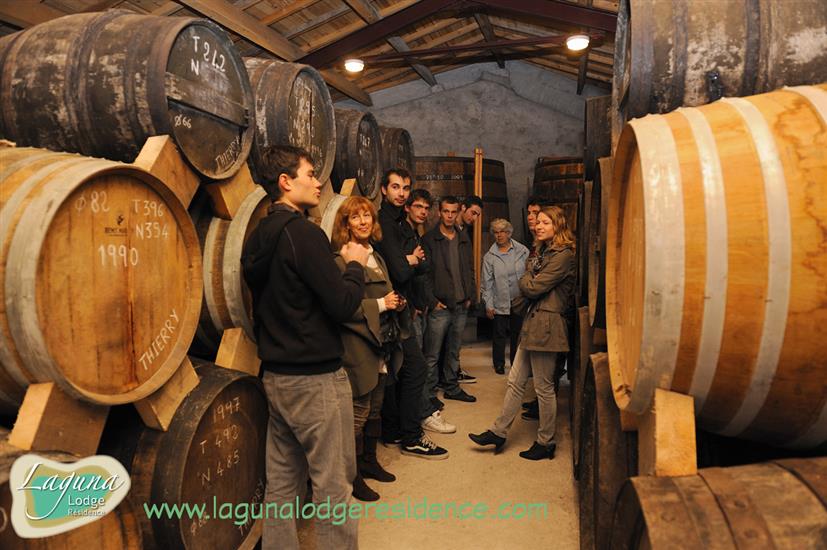 Domaines des claires Cognac et Pineau proche de Laguna Lodge Résidence en Charente-Maritime (17) sur la Côte Atlantique