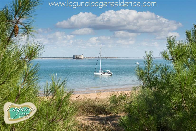 Plage à Boyardville, sur l'Île d'Oléron, Charente-Maritime