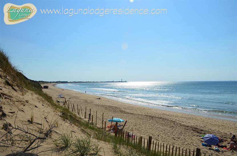 Plage de la Conche, Île de Ré, Charente-Maritime (17)