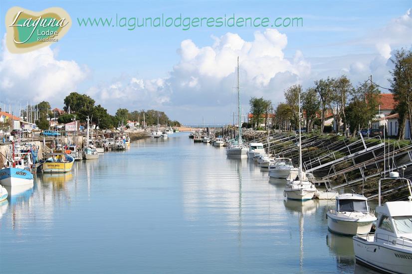 Port de Boyardville à Île d'Oléron, Charente-Maritime - (17)