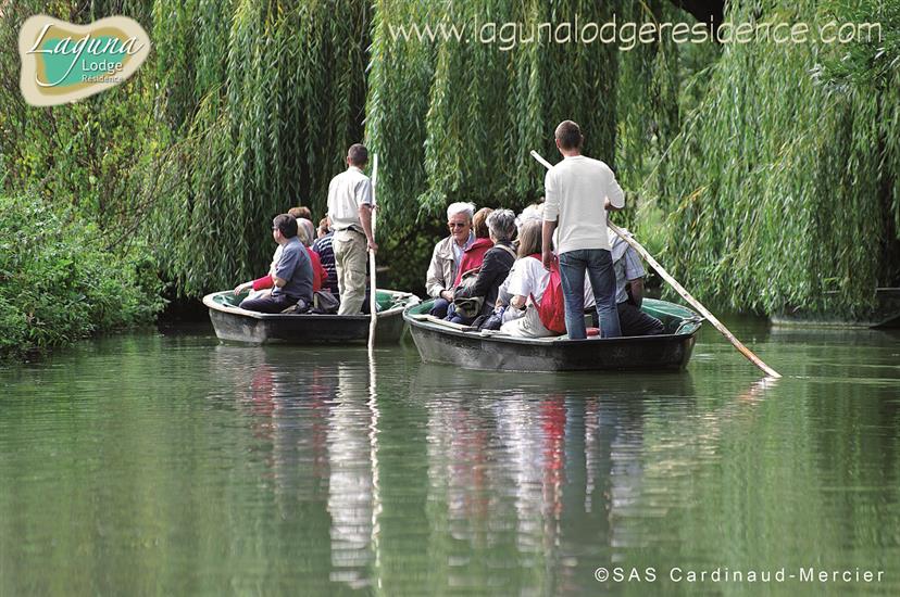 Marais Poitevin - Charente-Maritime - France