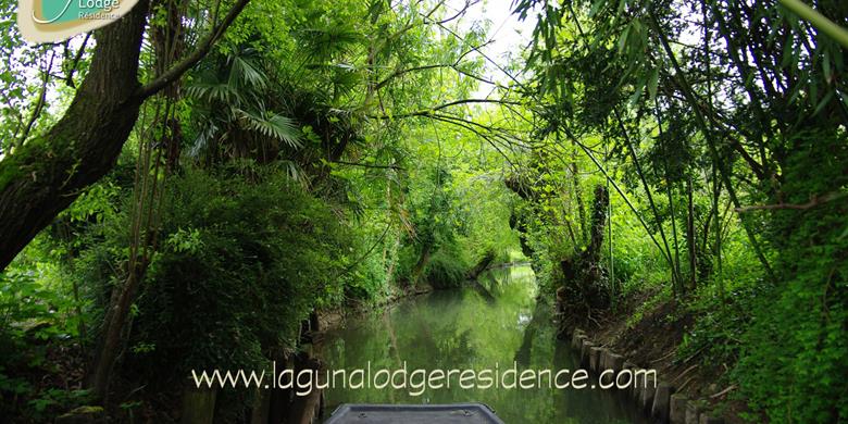 Visitez le Marais Poitevin - Charente-Maritime - France