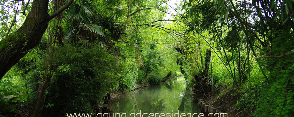 Visitez le Marais Poitevin - Charente-Maritime - France