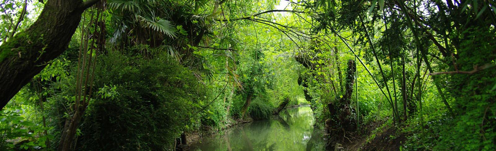 Visitez le Marais Poitevin - Charente-Maritime - France