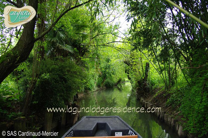 Visitez le Marais Poitevin - Charente-Maritime - France