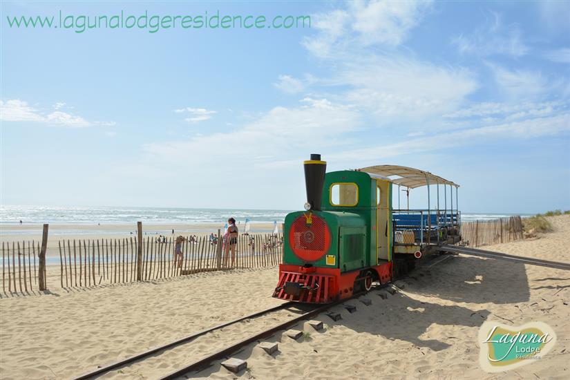 Petit train de Saint-Trojan, Île d'Oléron (17)